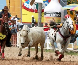 Encuentro Mundial de Coleo. Fuente: www.llanoguia.com